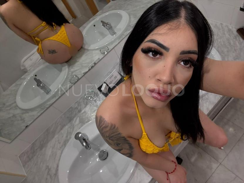 NuevoLoquo3