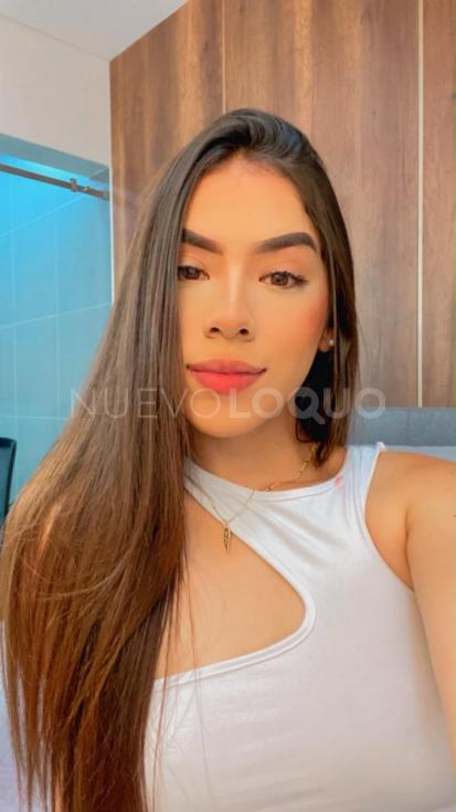 NuevoLoquo3
