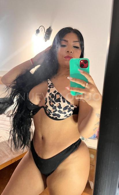 NuevoLoquo3