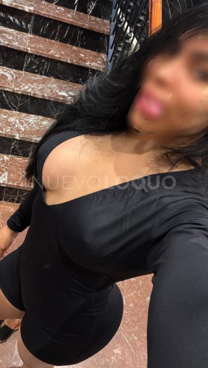 NuevoLoquo0