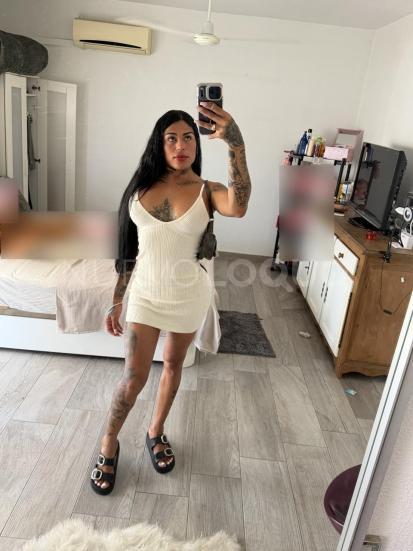 NuevoLoquo1