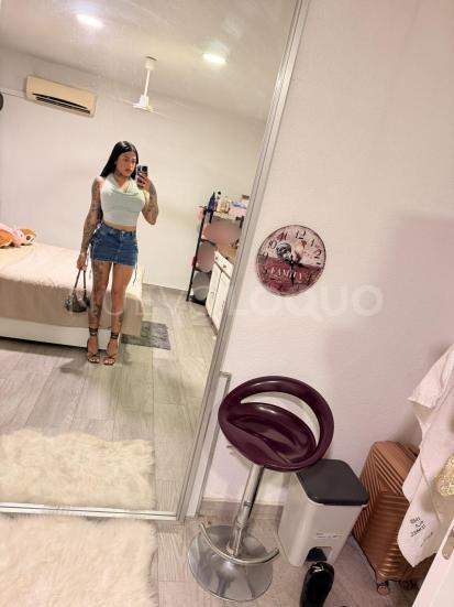 NuevoLoquo3