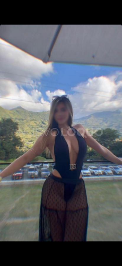 NuevoLoquo1