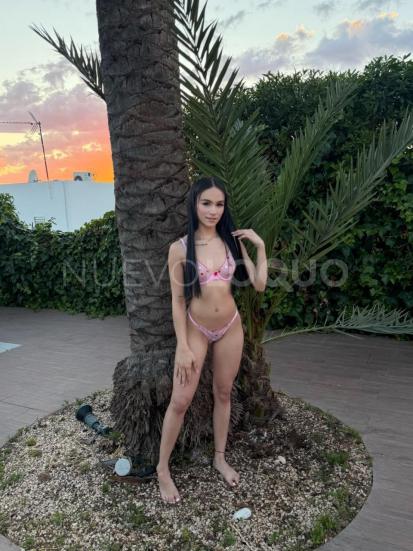 NuevoLoquo2