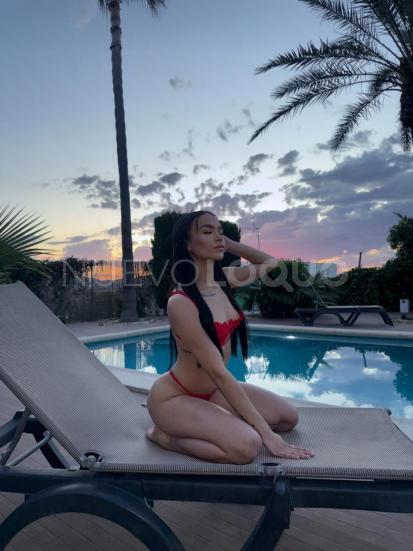 NuevoLoquo4