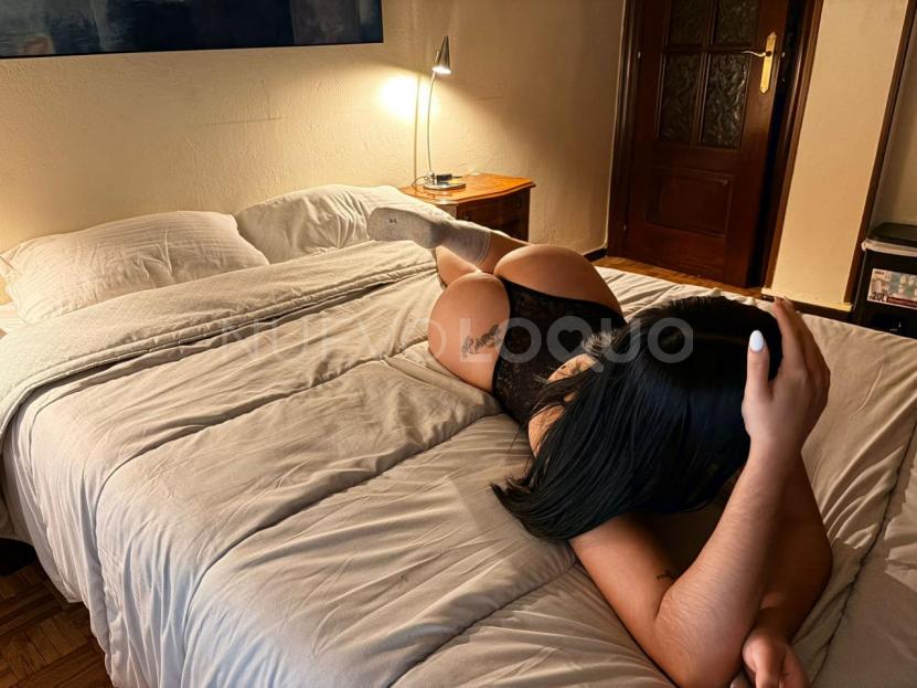 NuevoLoquo3