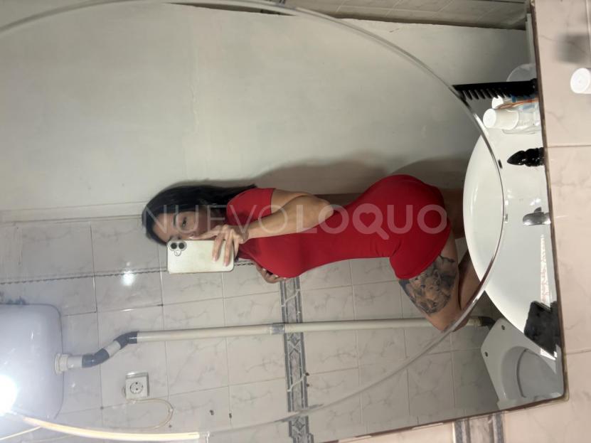 NuevoLoquo2