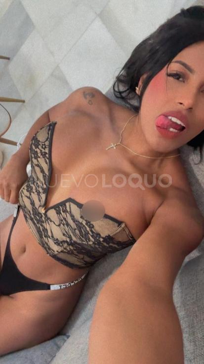 NuevoLoquo3