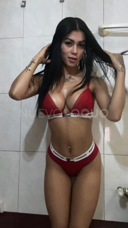 NuevoLoquo3