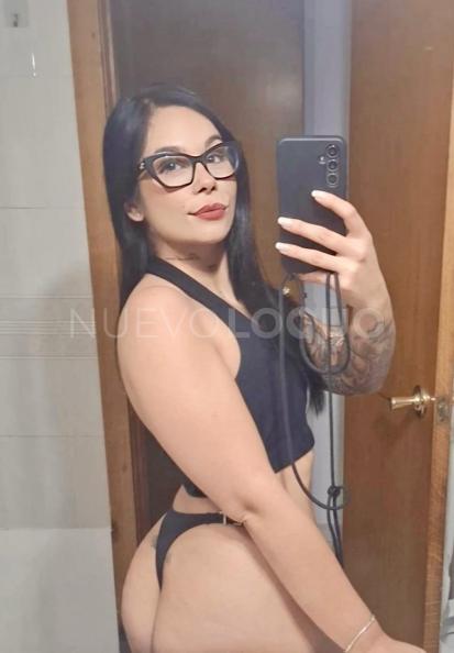NuevoLoquo3