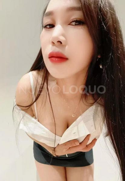 NuevoLoquo3