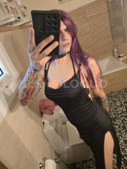 NuevoLoquo2