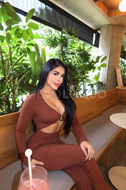 NuevoLoquo3