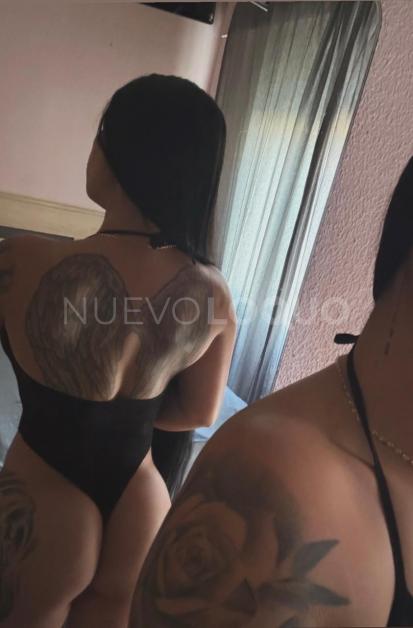  NOVEDAD PEQUEÑA EXÓTICA