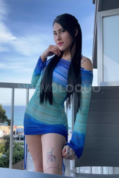 NuevoLoquo5