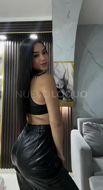 NuevoLoquo3