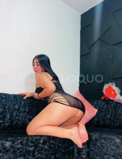 NuevoLoquo3