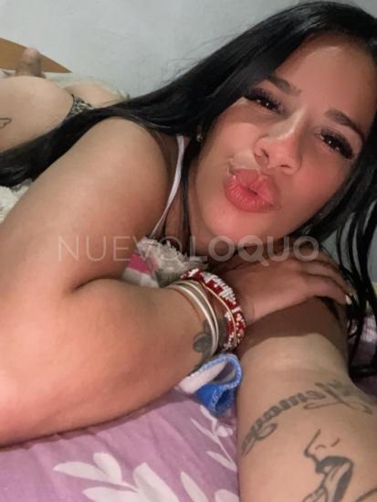 NuevoLoquo3