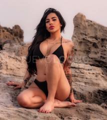 Novedad