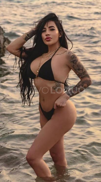 NuevoLoquo1