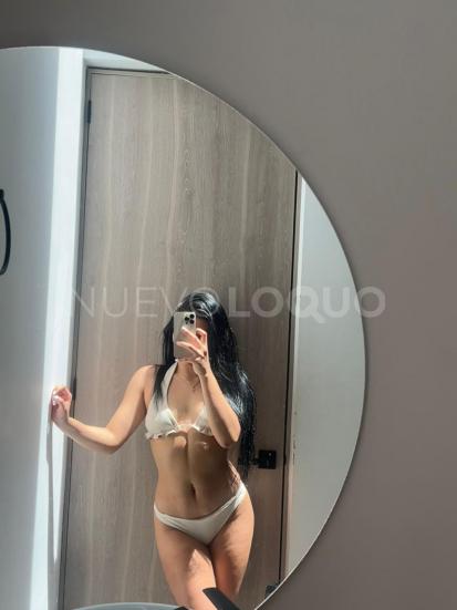 NuevoLoquo2
