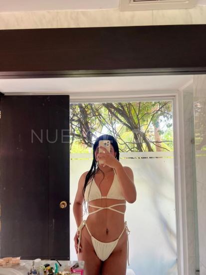 NuevoLoquo5