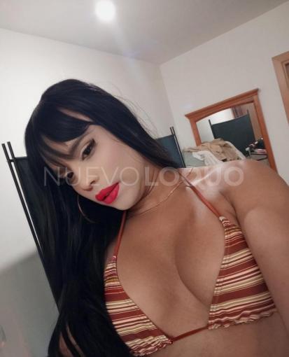 NuevoLoquo3