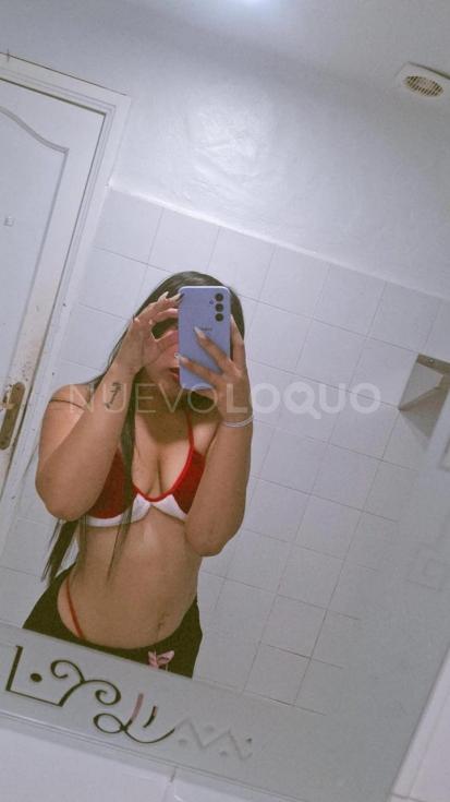 NuevoLoquo2