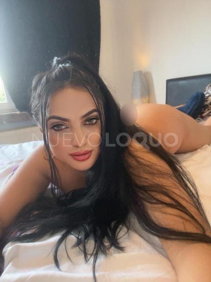 NuevoLoquo2