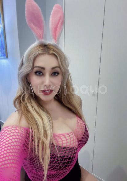 NuevoLoquo1