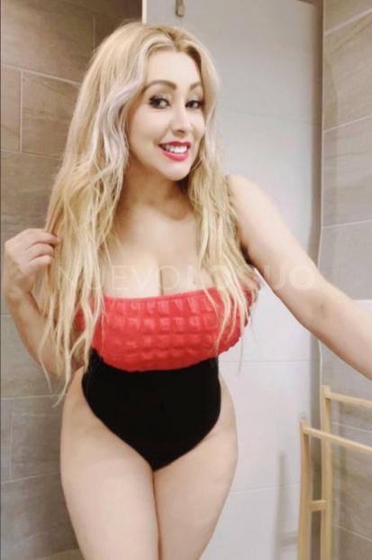 NuevoLoquo4