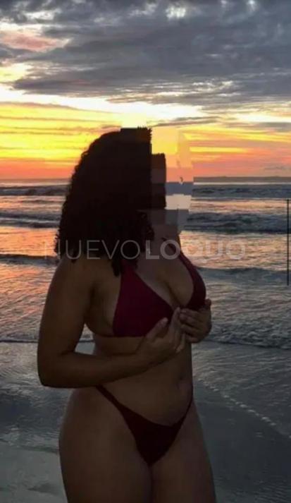 NuevoLoquo3