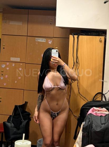 NuevoLoquo2