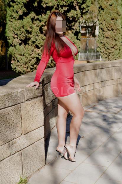 NuevoLoquo2