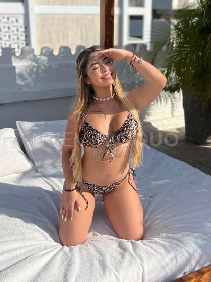 NuevoLoquo3