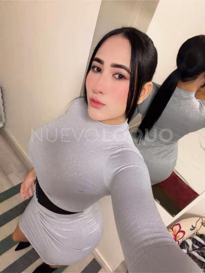NuevoLoquo2