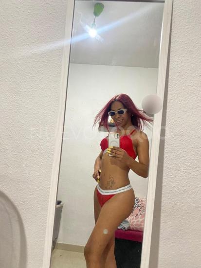 NuevoLoquo1