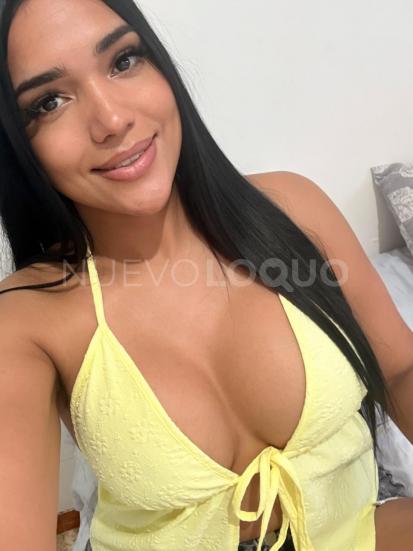 NuevoLoquo2