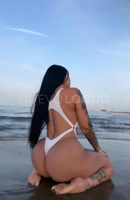 NuevoLoquo2