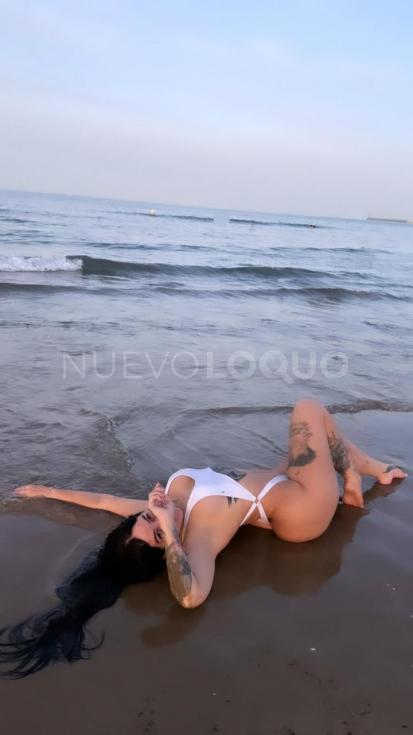 NuevoLoquo3