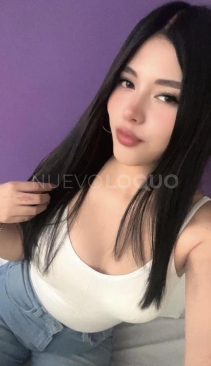 NuevoLoquo3