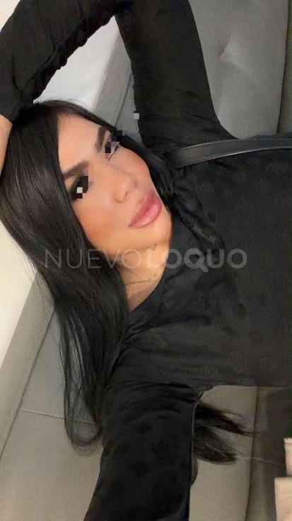 NuevoLoquo5