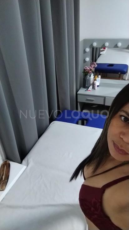 NuevoLoquo3