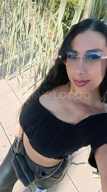 NuevoLoquo2