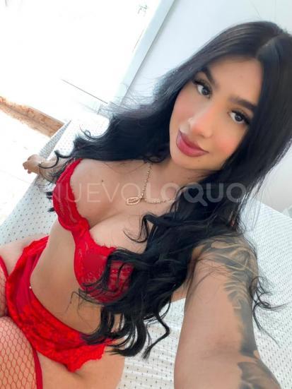 NuevoLoquo3