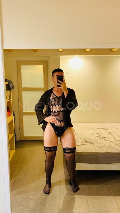 NuevoLoquo3
