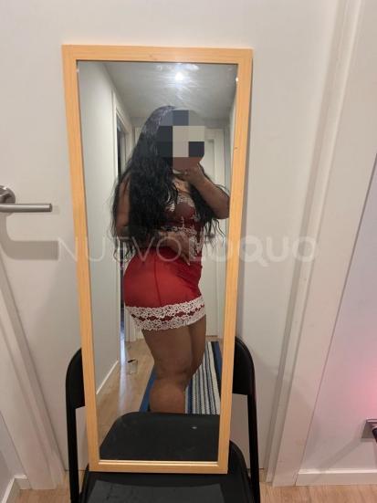 NuevoLoquo3