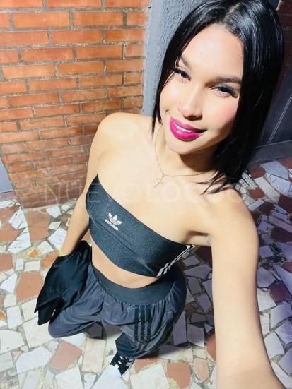 NuevoLoquo4