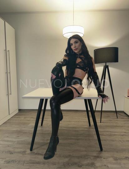 NuevoLoquo1
