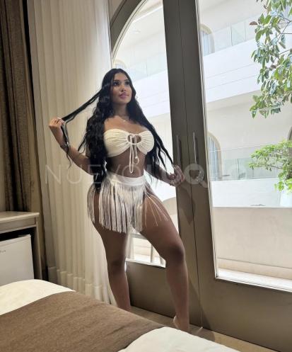 NuevoLoquo3